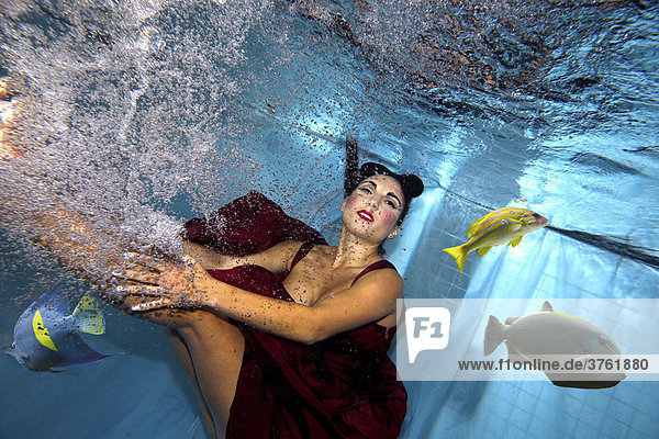 Unterwasser Pin-Up-Aufnahme  Frau im roten Abendkleid taucht unter und verscheucht farbige Südseefische.