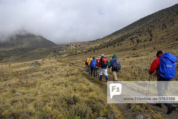 Group of trekkers on a footpath in fen landscape Mount Kenya National Park Kenya