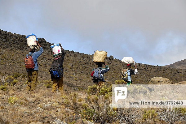 Local porters carry heavy loads Kikelewa Route Kilimanjaro Tanzania