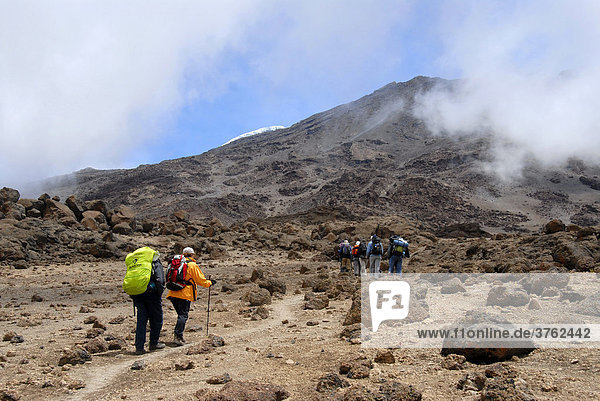 Group of trekkers on their way to School Hut Kikelewa Route Kilimanjaro Tanzania