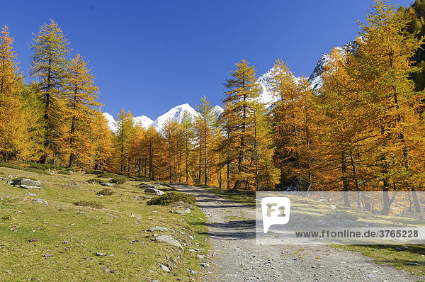 Wanderweg  Texelgruppe  Südtirol  Italien