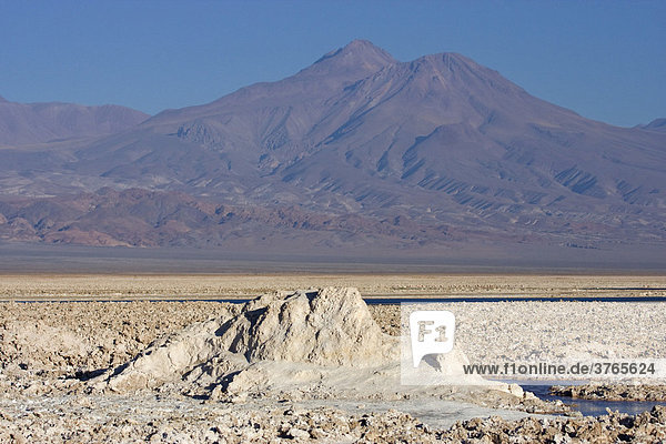 Salt formations covering the ground of the Reserva Nacional los Flamencos at Salar de Atacama salt flats  RegiÛn de Antofagasta  Chile  South America