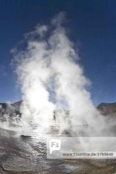 The hot springs steam most at sunrise  El Tatio Geyser Field  RegiÛn de Antofagasta  Chile  South America