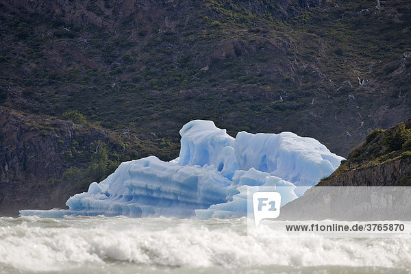 Eisberge im Lago Grey  Torres del Paine Nationalpark  Patagonien  Chile  Südamerika
