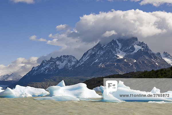 Icebergs and mountain peaks of the Torres del Paine Grande  seen from the Lago Grey  Torres del Paine National Park  Patagonia  Chile  South America