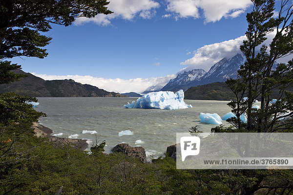 Icebergs in Logo Grey  Torres del Paine National Park  Patagonia  Chile  South America