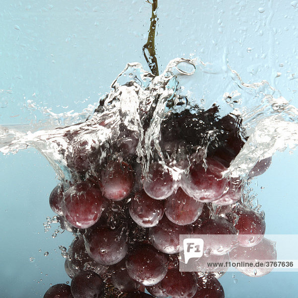 Bunch of grapes falling into water