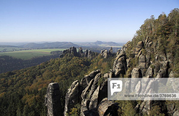 Blick auf die Schrammsteine  Elbsandsteingebirge  Sachsen  Deutschland