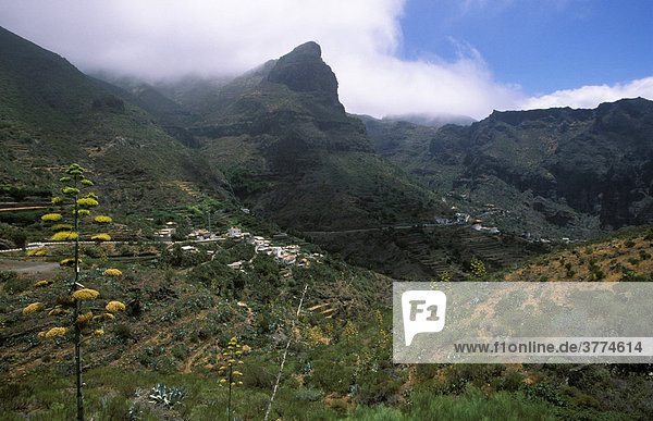 Masca  Teno mountains  Tenerife  Canary Islands  Spain