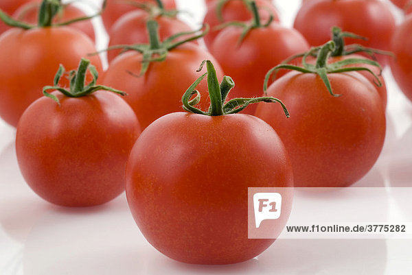 Tomaten vor weissem Hintergrund
