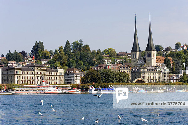 Cathedral of St. Leodegar at the Lake Lucerne  Switzerland  Europe