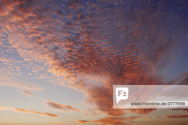 Sonnenuntergang mit Abendhimmel Pilbara Region Westaustralien WA