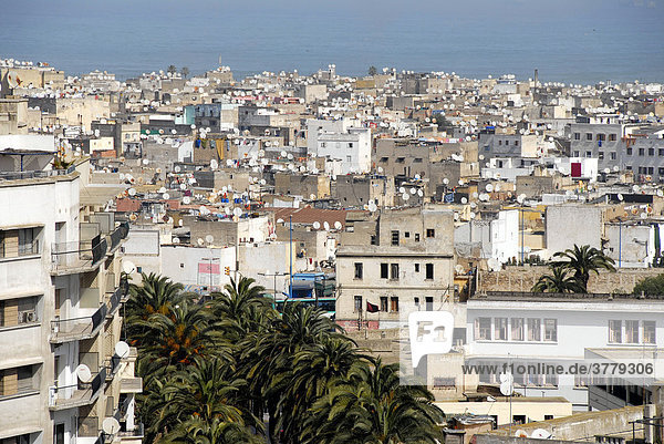 Blick auf Allee aus Palmen Altstadt Medina und das Meer Casablanca Marokko