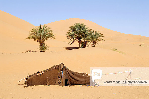 Zelt von Hirten Nomaden mit Palmen in Sanddüne Erg Chebbi Merzouga Marokko