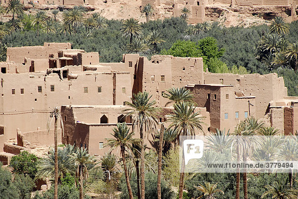 Blick in die Altstadt Ksar mit Plamen Tenerhir Marokko