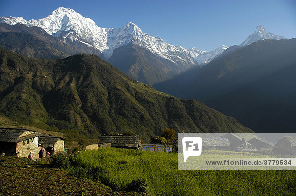 Dorf vor dem gewaltigen Bergmassiv des Annapurna South Ghandruk Annapurna Region Nepal