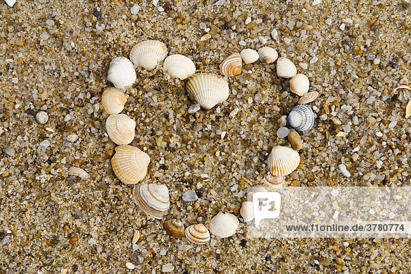Herz aus Muscheln Molusca im Sand