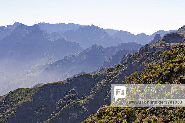 Blick vom Gipfel des Pico Ruivo do Paul nach Osten  Paul da Serra  Madeira  Portugal