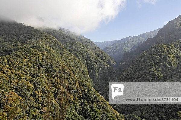 Blick von der Levada auf die bewaldeten Berge und die Schlucht des Flußes Ribeira da Janela  Levada da Central da Ribeira da Janela  Madeira  Portugal