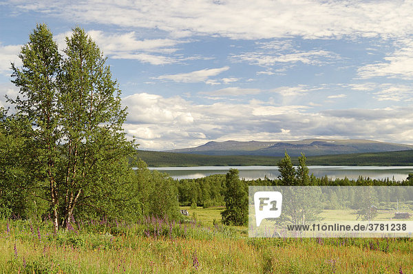 View onto lake Laitijaure  Aktse  Sarek National Park  Lapland  Sweden