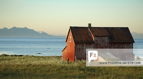 Red house at the sea    view onto the island of Senja  Andoya  Norway