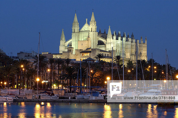 Harbour and cathedral at dusk  Palma de Majorca  Spain