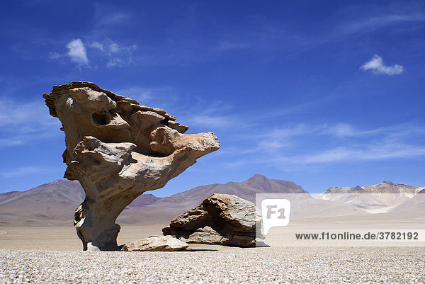 Bizarrer piltzförmiger Felsen (Arbol de Piedra)  Hochland von Uyuni  Bolivien