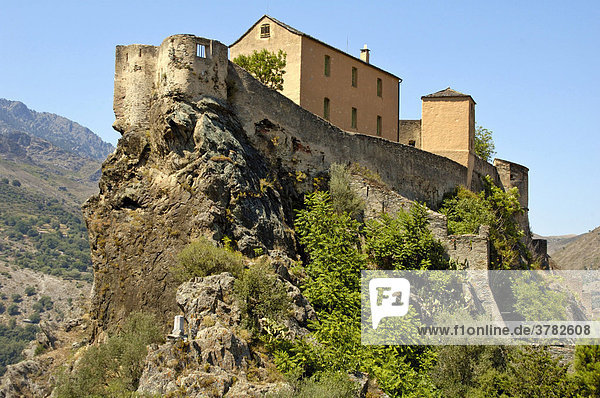 The old fortress of Corte  Corsica  France