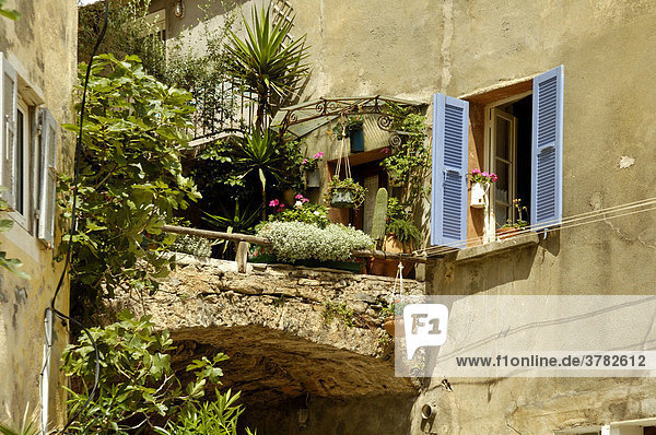 Mit Blumen geschmückter Balkon und offenes Fenster in der Altstadt von Sartene  Korsika  Frankreich