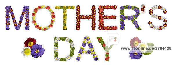 Schriftzug Mother's Day (Muttertag)  aus Blüten zusammengesetzt