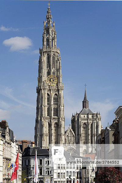 Cathedral of antwerpen  Belgium