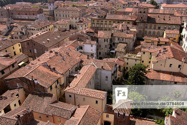 Roofs of Lucca  Tuscany  Italy