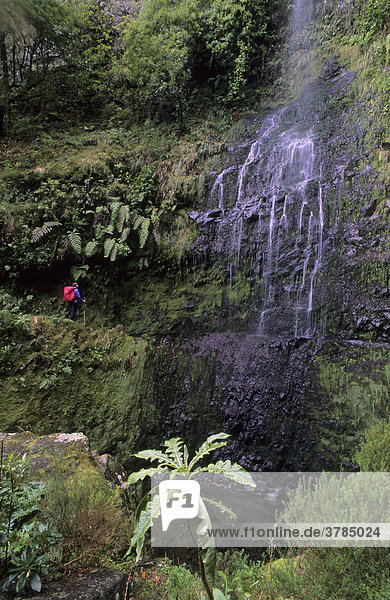 Bergsteigerin an einem Wasserfall am Bewässerungskanal Levada do Caldeirao Verde  Madeira  Portugal