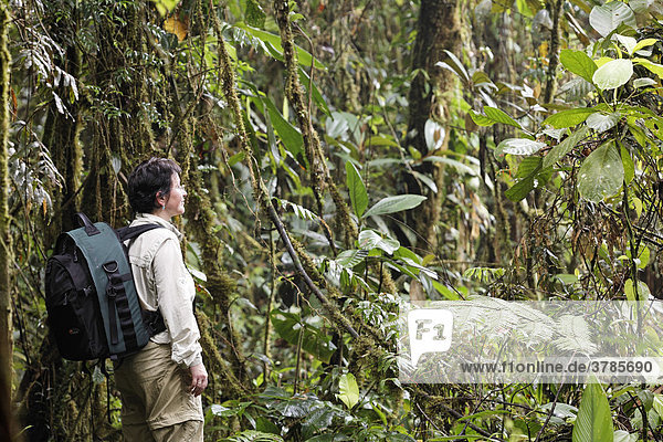 Woman with backpack in rainforest  Rara Avis  Las Horquetas  Costa Rica