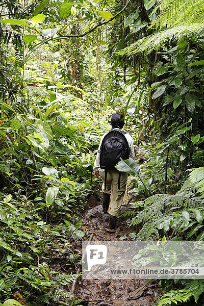 Frau mit Rucksack in Regenwald  Rara Avis  Las Horquetas  Costa Rica