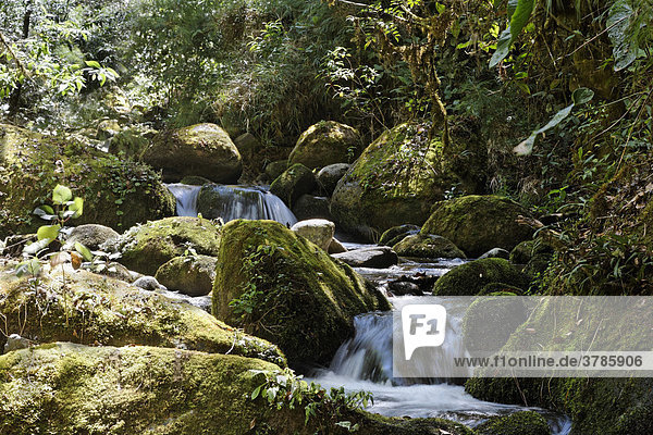 Rio Savegre  Nationalpark Los Quetzales  Costa Rica