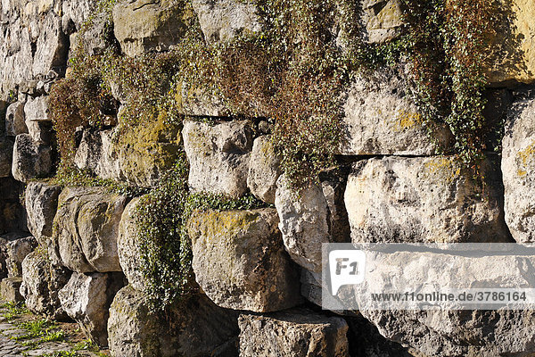 Römische Mauerreste am St.-Georgen-Platz  Regensburg  Oberpfalz  Bayern