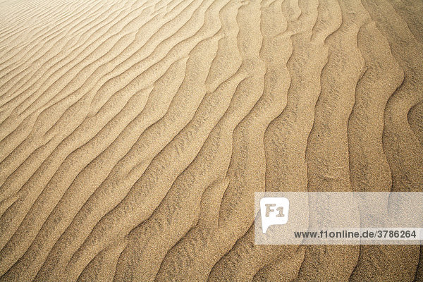 Wellenmuster in Sanddünen  Maspalomas  Gran Canaria  Kanaren  Spanien