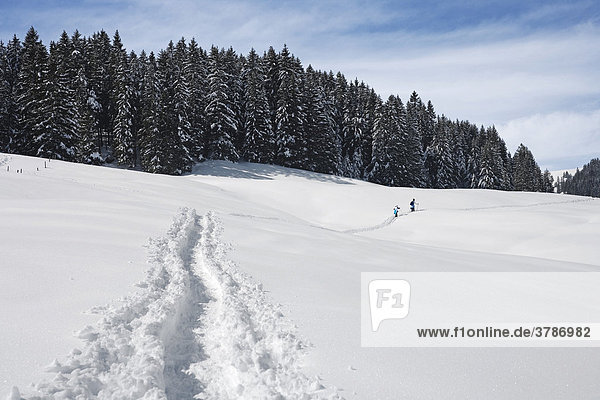 Two snow shoe hiker  Canton of Fribourg  Switzerland