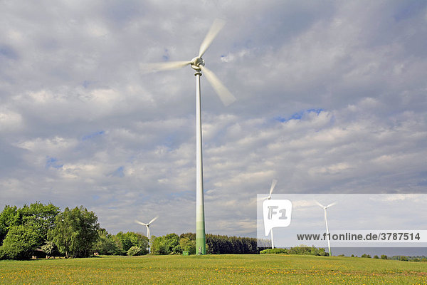 Windkraftanlage  Windenergie zur Stromerzeugung  Westerwald  Hessen  Deutschland