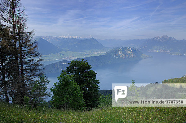 Blick vom Felenweg auf der Rigi Richtung Vierwaldstättersee  Schweiz
