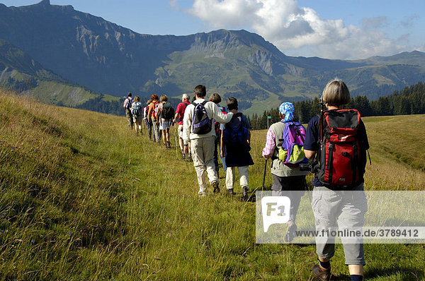 Group is hiking one after another on grass covered mountains Mont Joux Haute-Savoie France