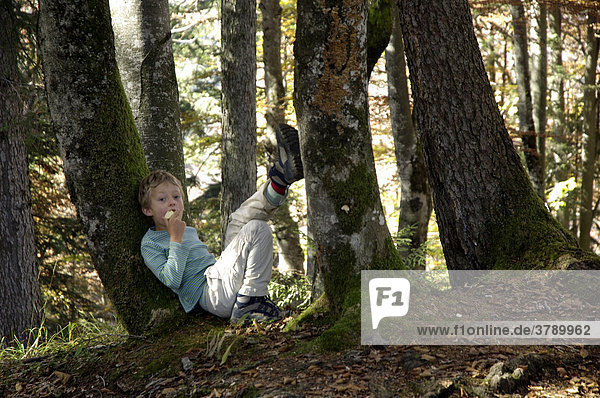Kleiner Junge sitzt im Wald zwischen zwei Baumstämmen