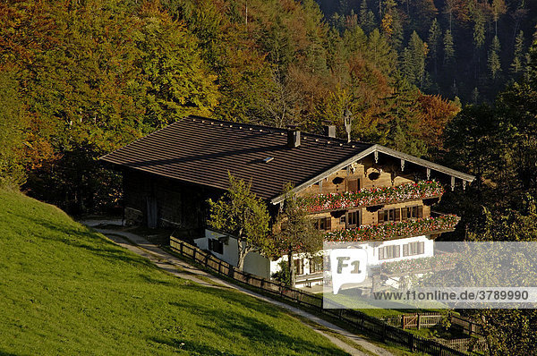 Bauernhof in den Bergen im Herbst  Oberbayern  Tirol  Österreich