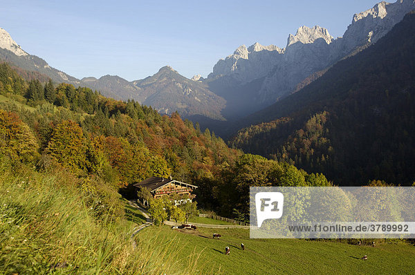 Bauernhof mit Blick zum wilden wilder Kaiser  Alpen  Tirol  Österreich