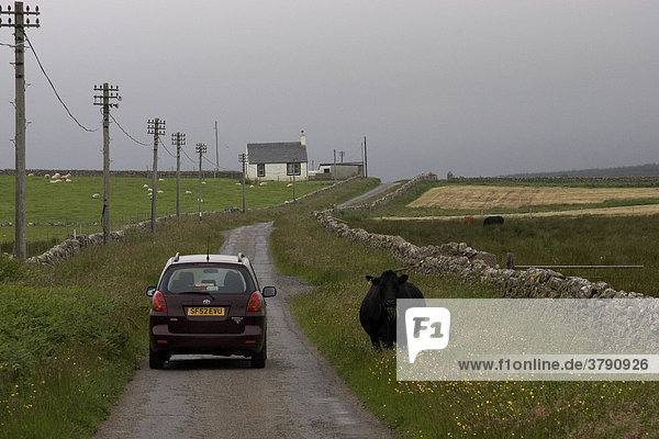 Einspurige Straßen sind typisch für die ländlichen Gegenden Schottlands. Szene auf der Insel Islay