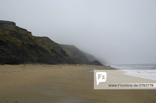 Jurassic Coast Klippen bei Charmouth nahe Lyme Regis Dorset East Devon Coast England