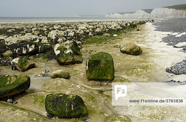 Seven Sisters Cliffs Sussex England