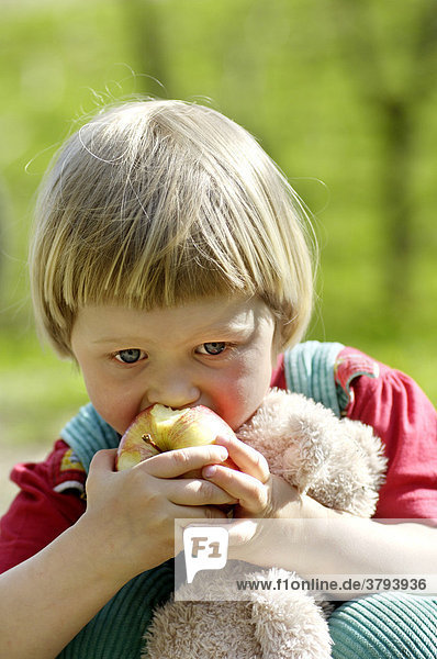Ein dreijähriges Mädchen beißt in einen Apfel