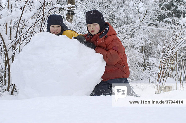 Two little boys 6 and 8 year old building a snow man